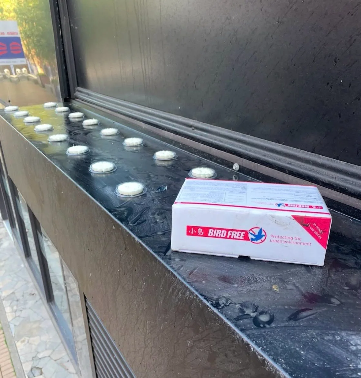 Bird-free optical gel being installed on a roller door canopy