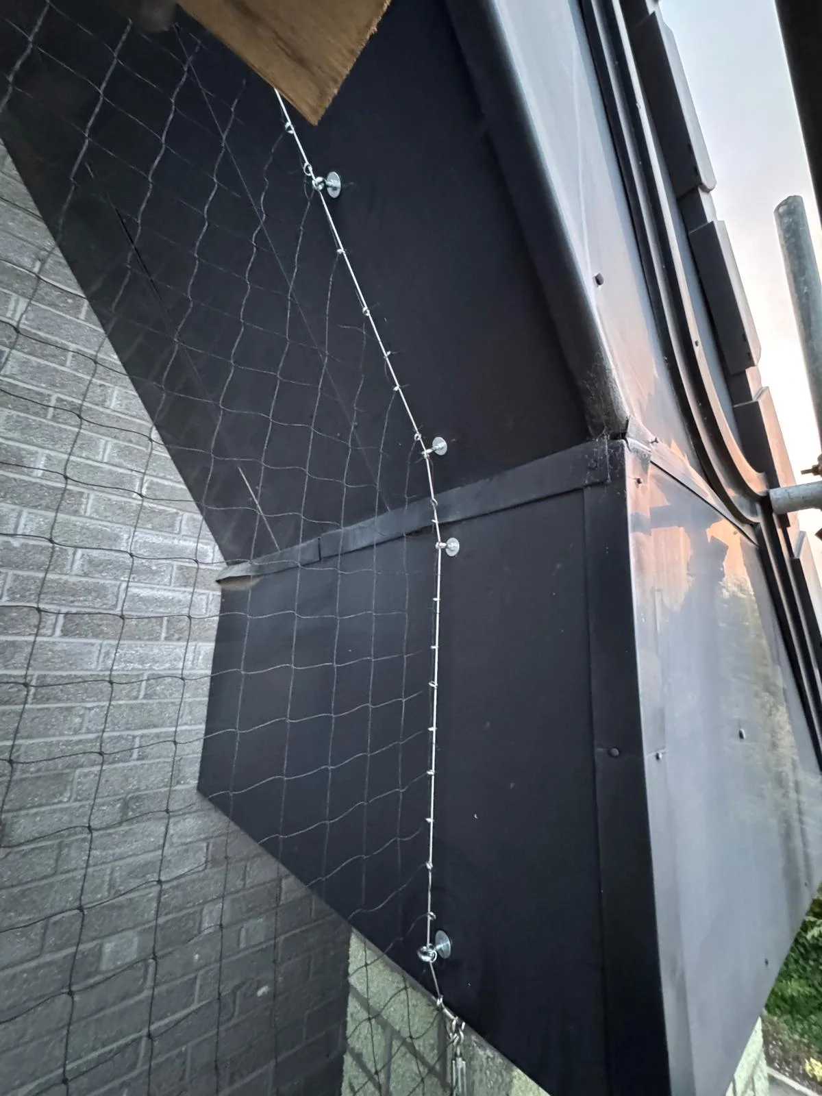 Close-up of the bird netting anchor points installed by Apex Pest Control