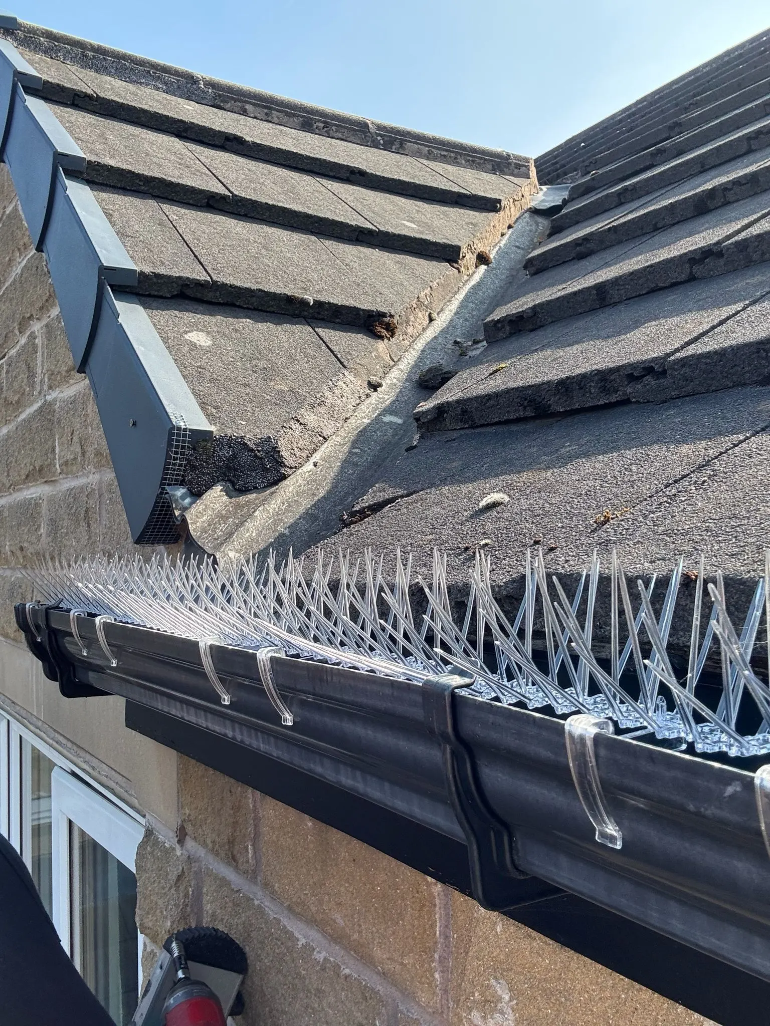 Anti-perch bird spikes installed on guttering by Apex to stop pigeons landing