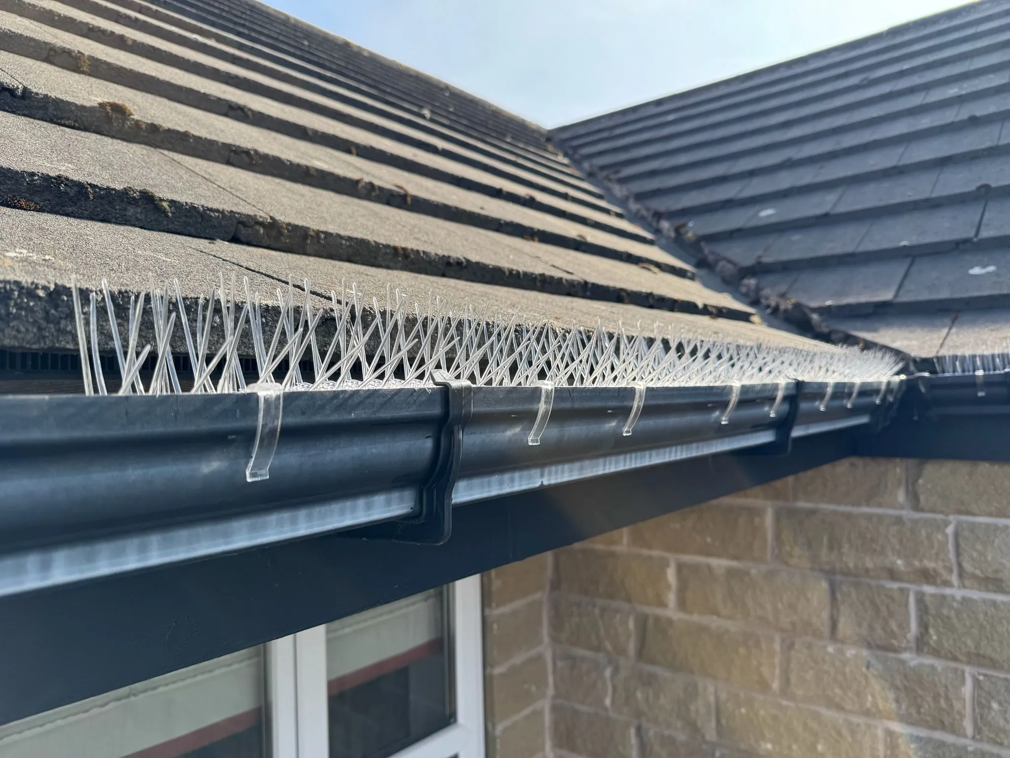Bird spikes installed to an internal roof corner to stop birds roosting