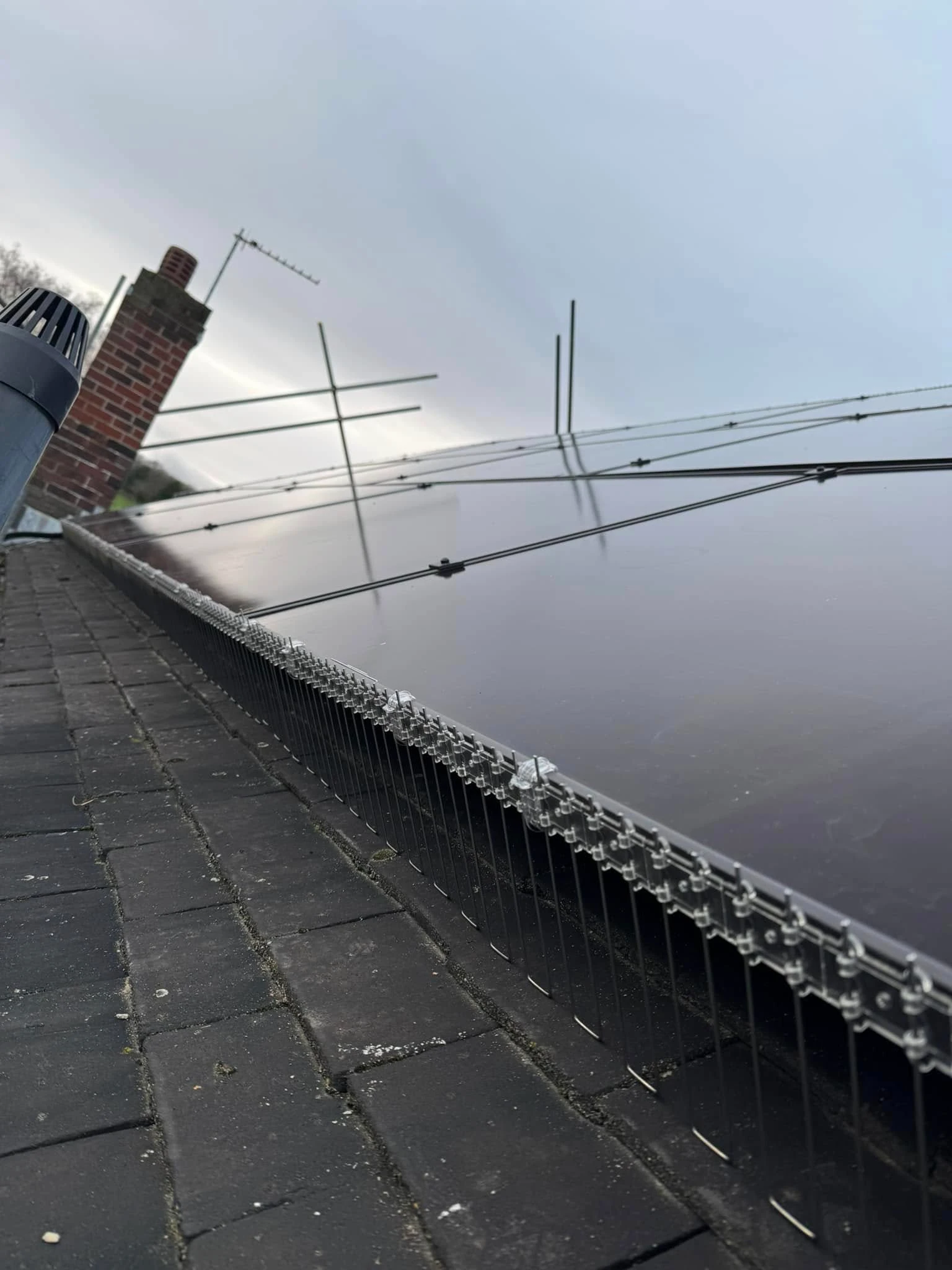 Galvanised mesh fitted around solar panels by Apex to stop pigeons nesting underneath