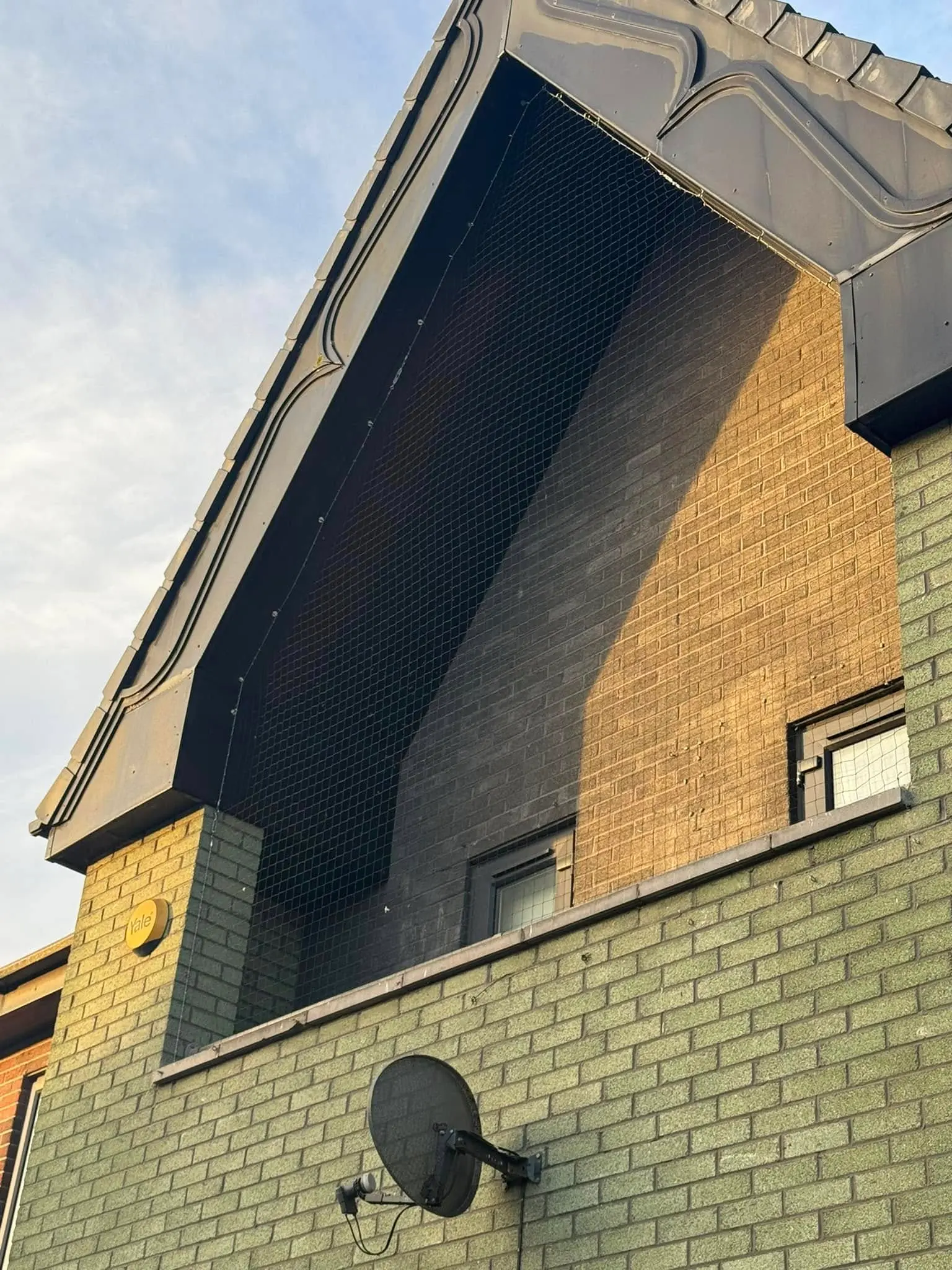 Bird netting installed by Apex to exclude pigeons from a building