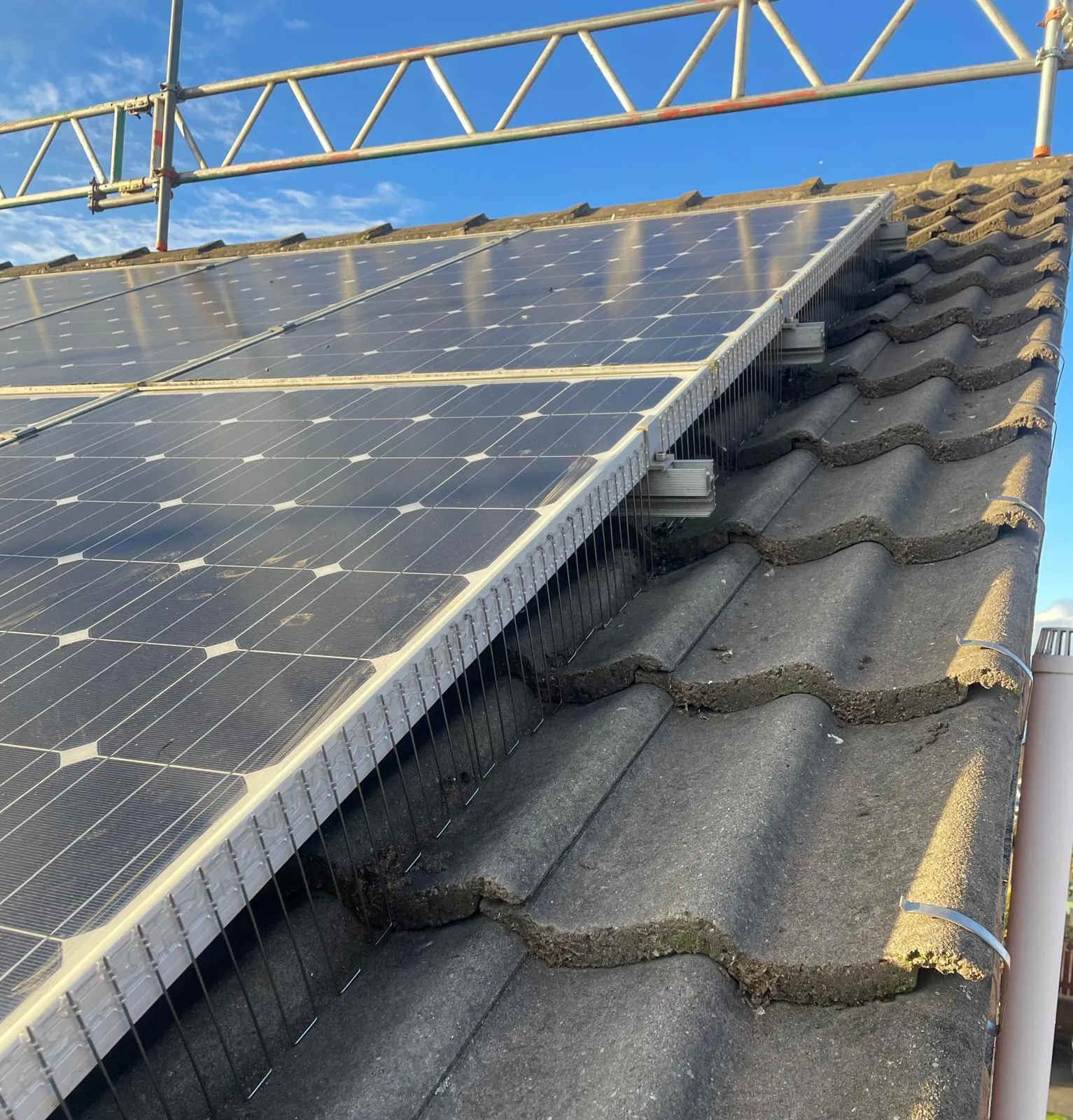Solar panel guard strips fitted by Apex for bird proofing