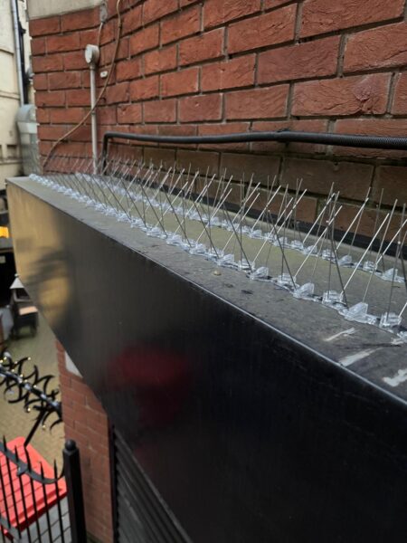 Metal bird spikes fitted on a roller door cover on a commercial site