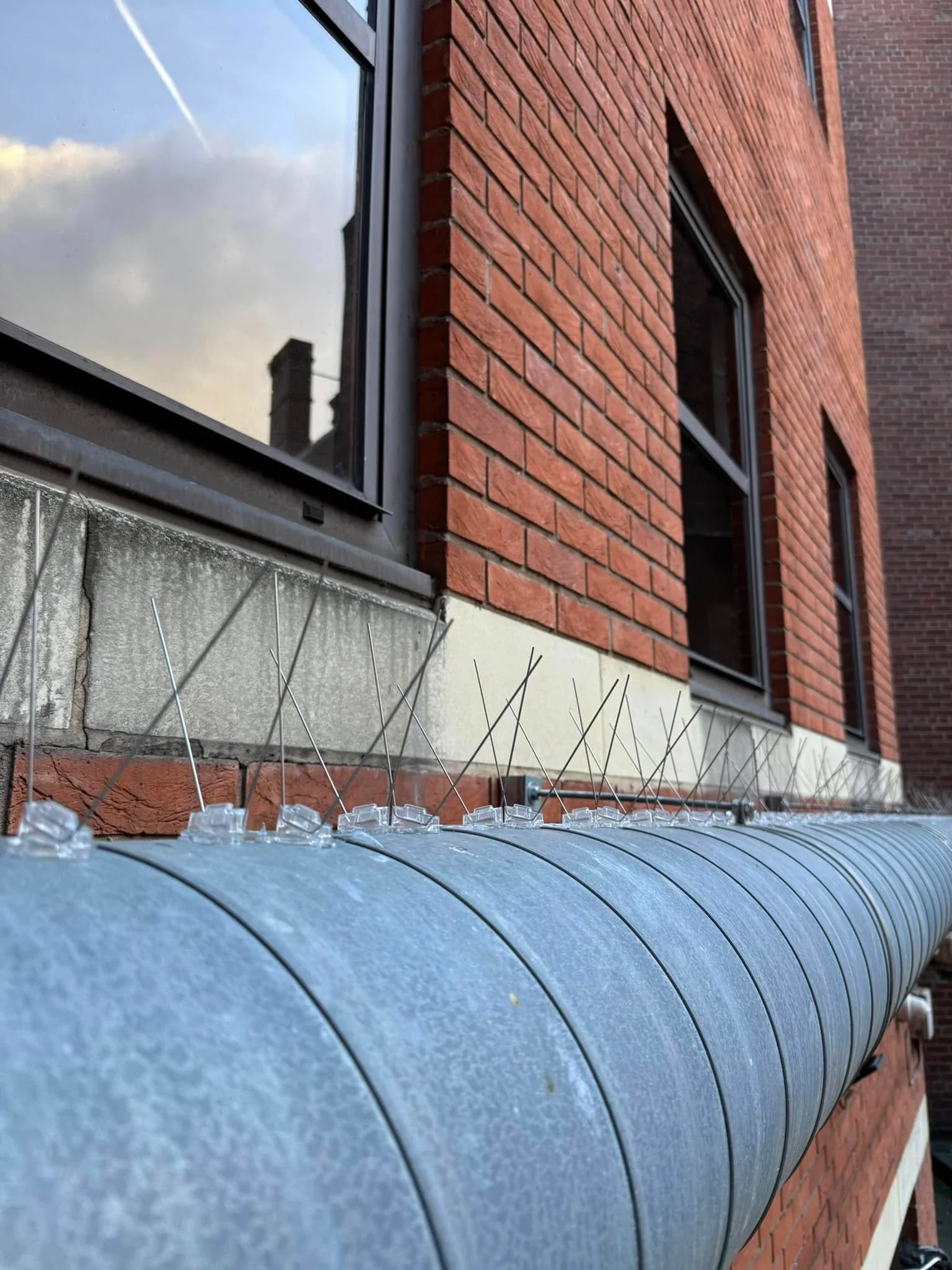 Metal bird spikes installed on external ducting to deter pigeons