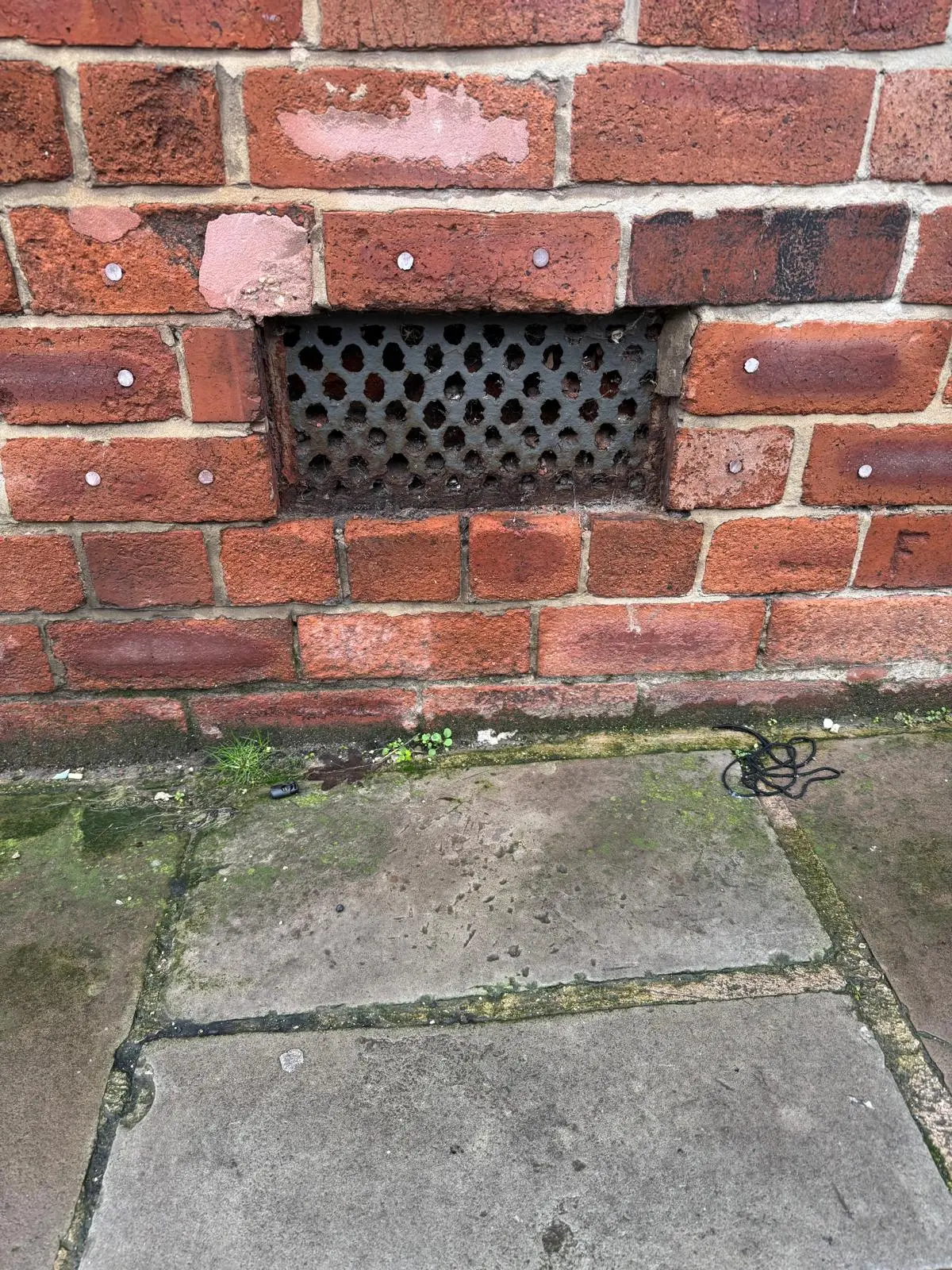 Mice entry points at a Victorian air brick on a Leeds property