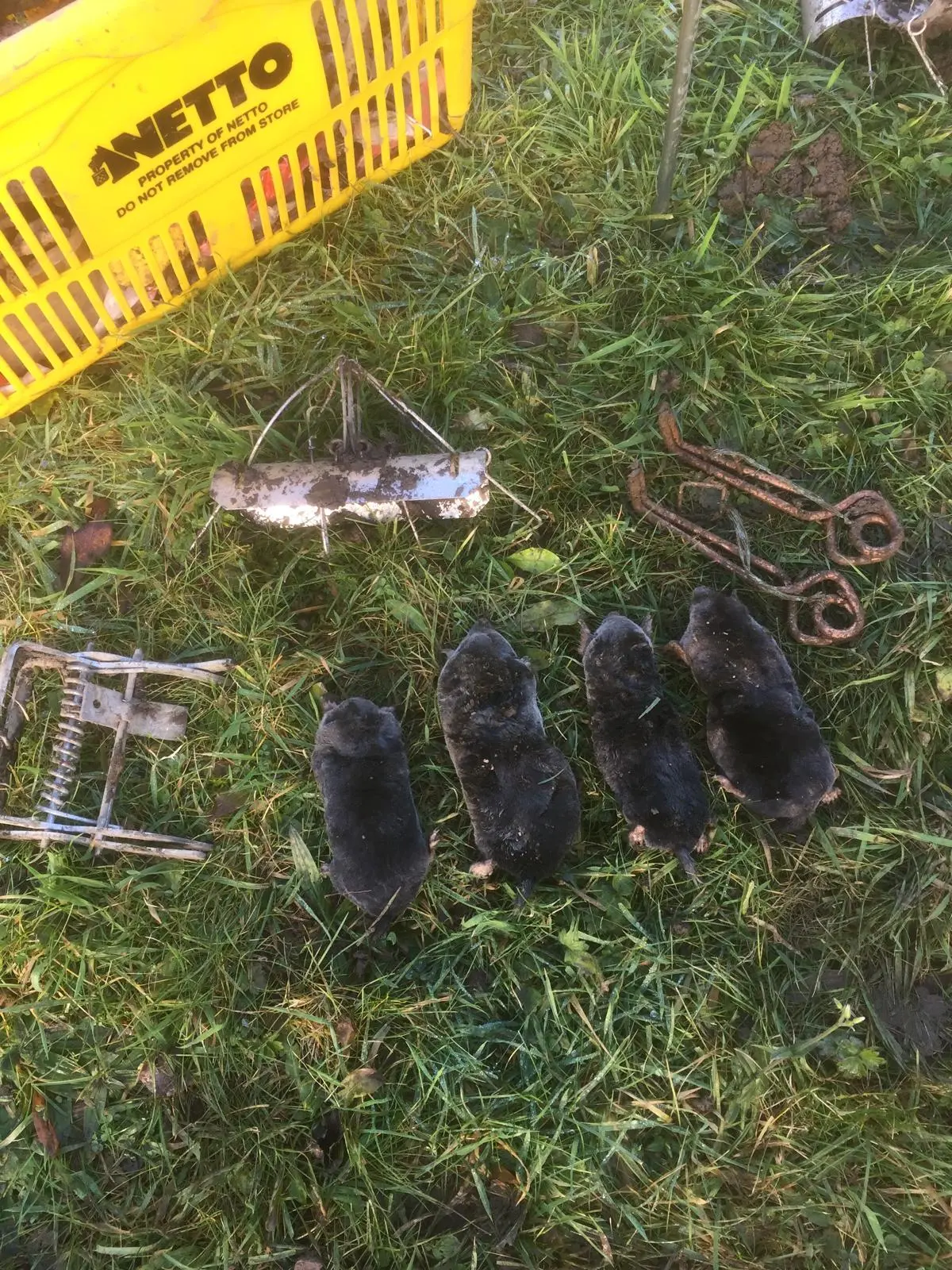 A selection of approved mole traps used by Apex Pest Control