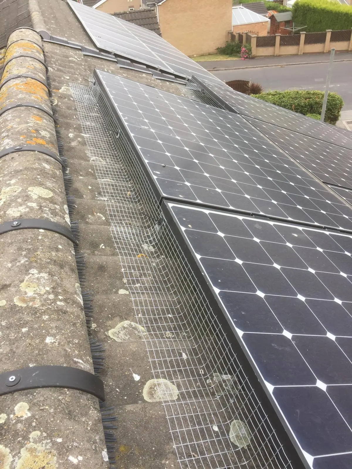 Solar panel bird proofing fitted by Apex to prevent pigeons nesting